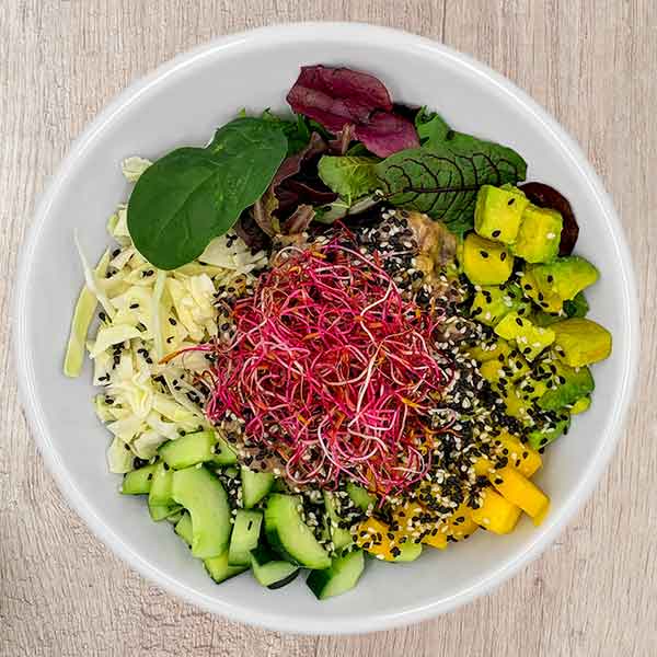Bowls Genereux